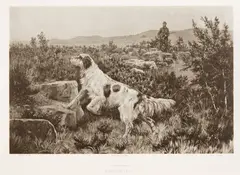 John Martin Tracy, Prairie Chicken Shooting in Minnesota, Dash III & Countess May; On a Grouse Moor, Emperor Fred; Thunder; Grebeloth; two Untitled head studies: six, all unframed