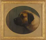 George Earl, Portrait of a Mastif, oil on canvas
