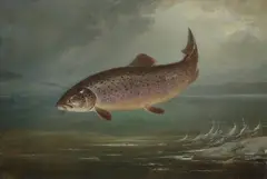 Henry Leonidas Rolfe, A Rainbow Trout taking the fly, oil on canvas