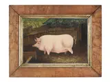 English Naïve School, A pig in a sty, oil on board