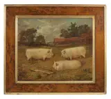E. S. England, Three Large White Pigs in a landscape, oil on canvas
