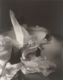 Birthday Gloves“, N.Y by Horst P. Horst, 1947, Späterer Silbergelatineabzug. Agfa-Papier, sold May 2018