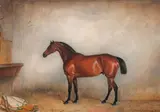 Claude Lorraine Ferneley, A bay horse in stable, oil on canvas