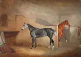 Claude Lorraine Ferneley, A grey horse in a stable, oil on canvas