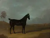 Snr. John Frederick Herring, Horse in a landscape, oil on panel