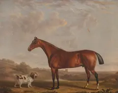 Charles, Bay Horse and Spaniel, oil on canvas