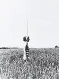 Rebecca Horn, Einhorn
