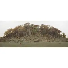 William Delafield Cook, Hillside, Euroa, 1987, synthetic polymer paint on canvas