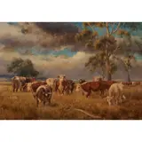 Jan Hendrik Scheltema, (Cattle Grazing)