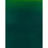 Matthew Allen, Blue over Green, 2011, oil and acrylic on linen