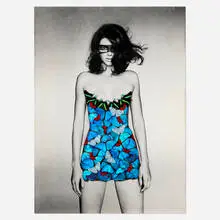 SN, Kendall Butterflies, c. 2022, mixed media with butterflies