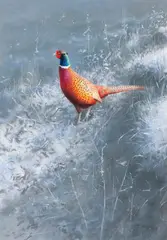 Rodger McPhail, Cock Pheasant in a frosted landscape, gouache