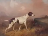 Colin Graeme Roe, An English Pointer, oil on canvas
