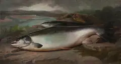 John Russell, Prize winning Salmon, oil on canvas