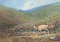 Frank Wallace, The Thirteen Pointer, watercolour