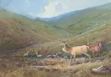 Frank Wallace, The Thirteen Pointer, watercolour