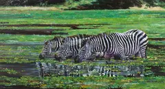 Dharbinder Singh Bamrah, Zebra Drinking at a Waterhole, oil on canvas