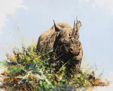 Dharbinder Singh Bamrah, Rhino, oil on canvas