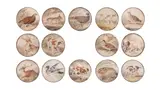 Samuel Howitt, A set of 14 watercolour painted hunt buttons depicting game animals, Contained within an oval glazed case,  each button 2.8cm (1in) diameter