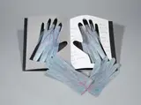 Meret Oppenheim, Handschuhpaar