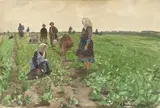 Walter Leistikow, Feldarbeit