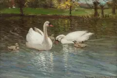 Patrick Downie Rsw, Swans and cygnets