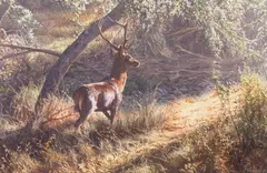 Paul Augustinus, On the forest Edge, Red Deer