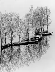 Toni Schneiders, Hochwasser am Skutari-See, Jugoslawien, 1971, Silbergelatineabzug. Agfa-Papier