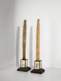 Englisch, Paar „Obelisken“ mit Rostrum des Sägerochens (Pristis), Sägen vom Sägerochen mit 103 Zähnen; Holzsockel, lackiert; Herbarbelege; Glas