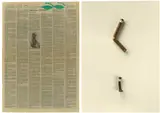 Joseph Beuys, Aufruf zur Alternative, 1980, Seite aus der Frankfurter Rundschau (gestempelt), Ast mit Bienenwachs, Bronzeobjekt