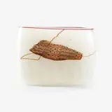 Dale Chihuly, early Blanket Cylinder