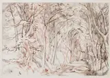 William George Gillies, Trees