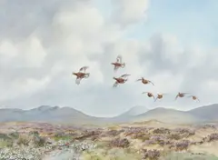 Robert W. Milliken, Grouse in flight, watercolour