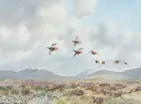 Robert W. Milliken, Grouse in flight