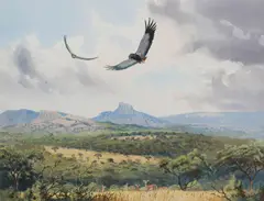 John Cyril Harrison, The Bateleurs and Impala from Transvaal, oil on canvas