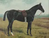 George Paice, Black Michael