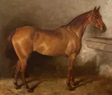 John Alfred Wheeler, Chestnut horse in a stable, oil on board