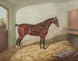Frederick Albert Clark, A Bay Horse in a Stable, oil on canvas