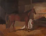English School 19th century, 'Champion' in his Stable