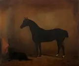James Dudgeon, Horse and dog in stable, oil on canvas
