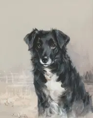 Reuben Ward Binks, 'Fly' & 'Betty' portraits of Collies, gouache
