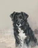 Reuben Ward Binks, 'Fly' & 'Betty' portraits of Collies, gouache