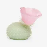 Flo Perkins, Untitled (Cactus)