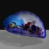 large Imperial Blue and Purple Seaform Set by Dale Chihuly, 2001, hand-blown glass, sold Jan 2020