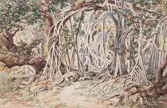Constance Gordon-Cumming, Nananu, Fiji