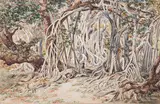 Constance Gordon-Cumming, Nananu, Fiji