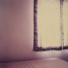 Elisa Sighicelli, Curtain, 1997, Light box
