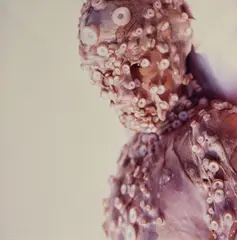 Robert Gligorov, Okto, 1998, cibachrome on alluminio