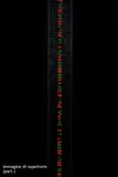 Tatsuo Miyajima, Monism/Dualism No. 1, 1999, Diodi luminosi