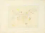 Luca Alinari, Ma l'ubicazione ritorna, mixed media on paper applicata on faesite